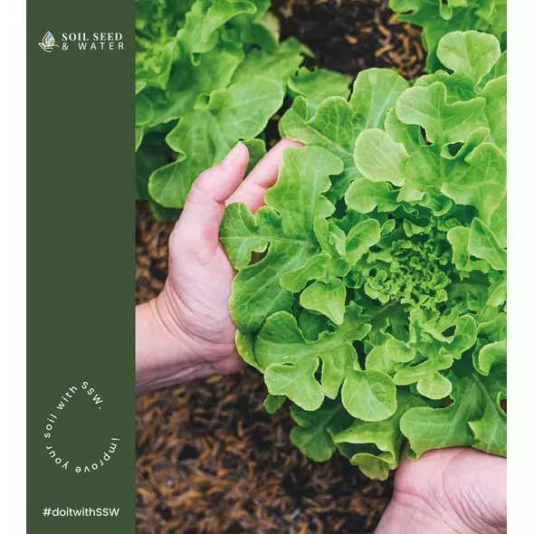Dan’s Gold Dairy Compost 9lbs 1 CF - Soil Seed & Water