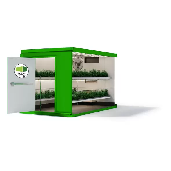 10-Foot Cannabis Grow Room - Box4Grow