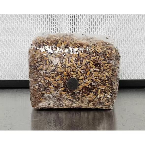 3lb BOOMING Mushroom Grains - Booming Acres