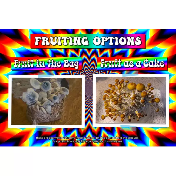 5lb Magical All-In-One Mushroom Grow Bag - Booming Acres