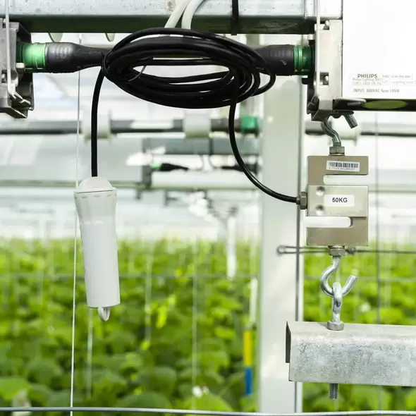 G3 Weight Sensor - Grownetics