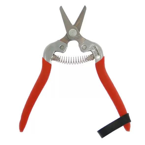 Harvest Shear - Short Straight Stainless Steel Blade