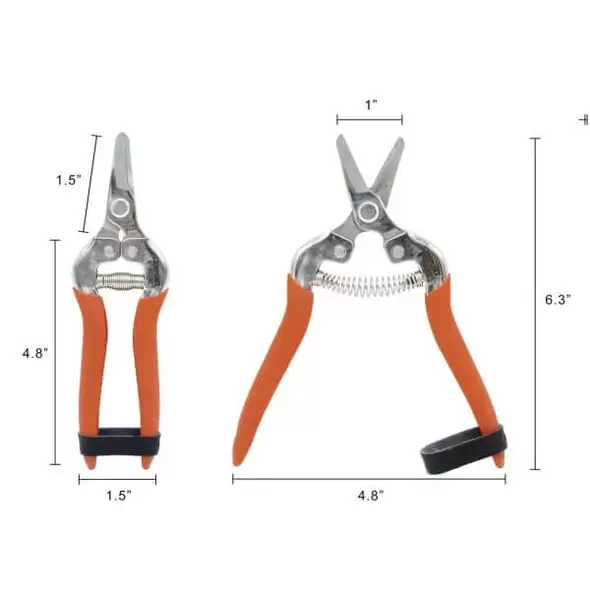 Harvest Shear - Short Curved Stainless Steel Blade