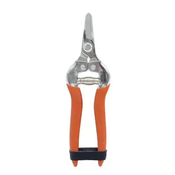 Harvest Shear - Short Curved Stainless Steel Blade