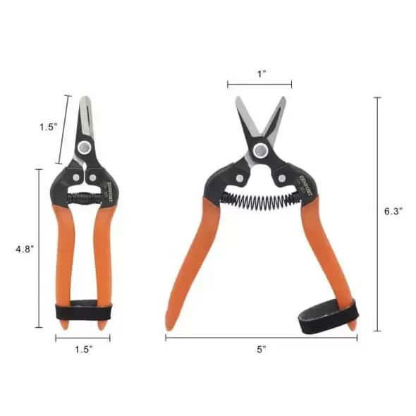 Harvest Shear - Short Straight Carbon Steel Blade