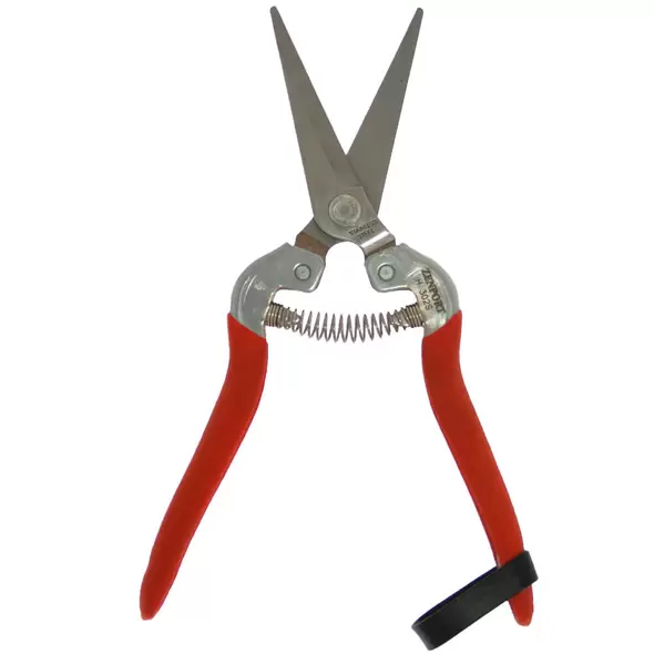Harvest-Bunch Cutter, Straight Stainless Steel Serrated Blade