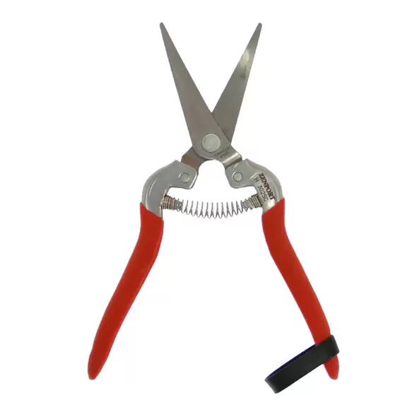 Harvest-Bunch Cutter, Curved Stainless Steel Serrated Blade