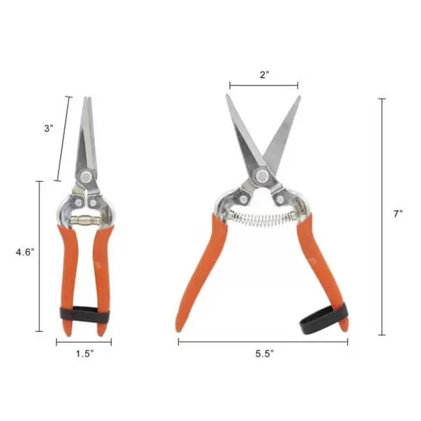 Harvest-Bunch Cutter, Curved Stainless Steel Serrated Blade
