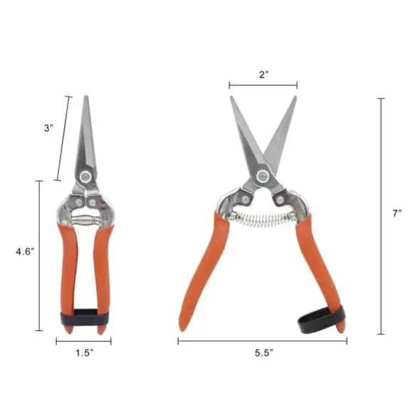 Harvest-Bunch Cutter, Straight Stainless Steel Serrated Blade