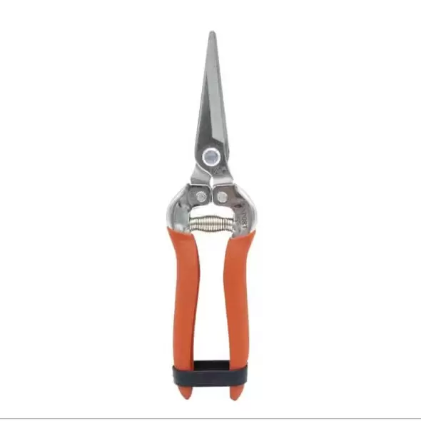 Harvest-Bunch Cutter, Straight Stainless Steel Serrated BladeHarvest-Bunch Cutter, Straight Stainless Steel Serrated Blade