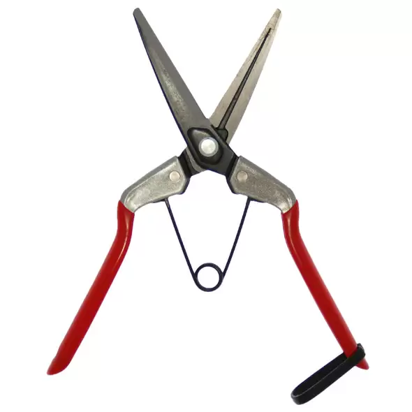 Thinning Shear