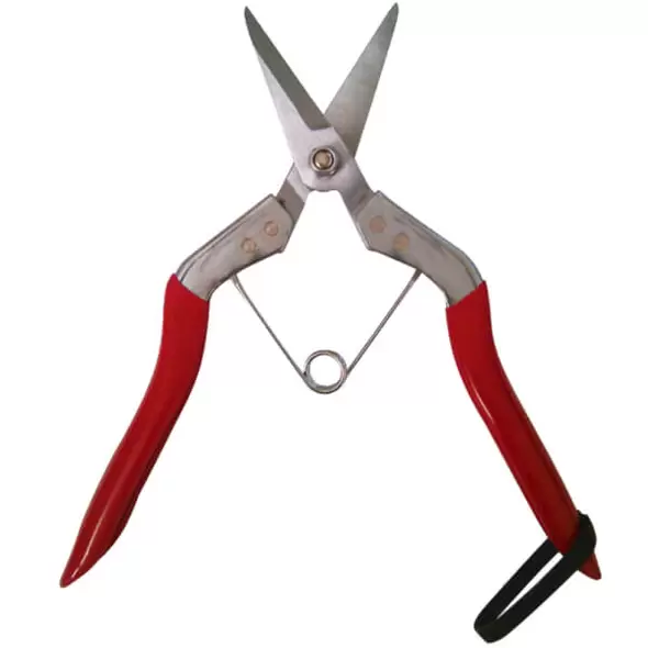 Deluxe Thinning Shear Straight Edge Blade