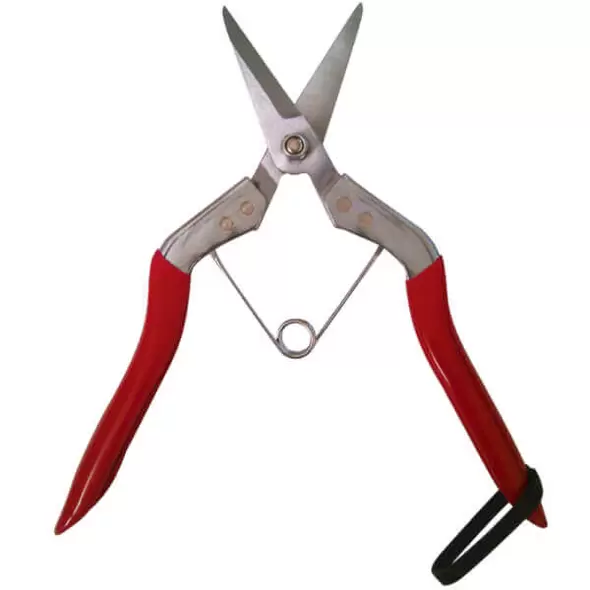 Long Deluxe Thinning Pomelo Shear