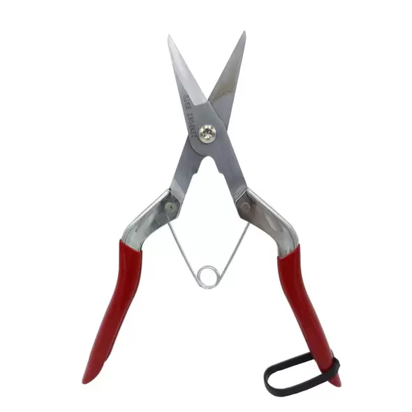 Long Deluxe Thinning Pomelo Shear