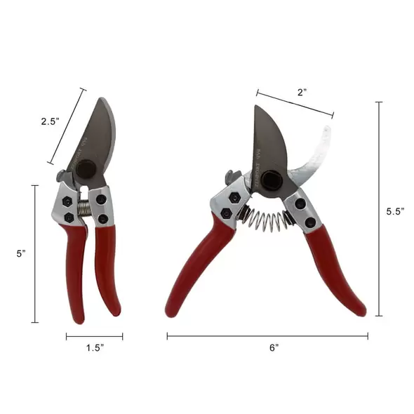Pruning Shear, 6-Inch
