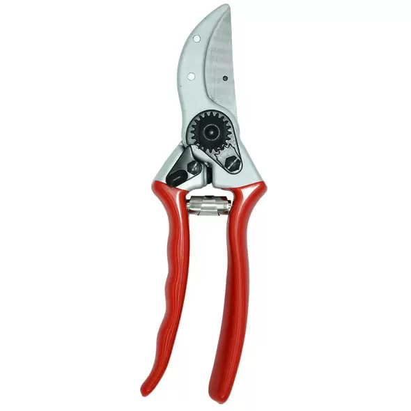 8.5-Inch Forged Euro Style Pruner