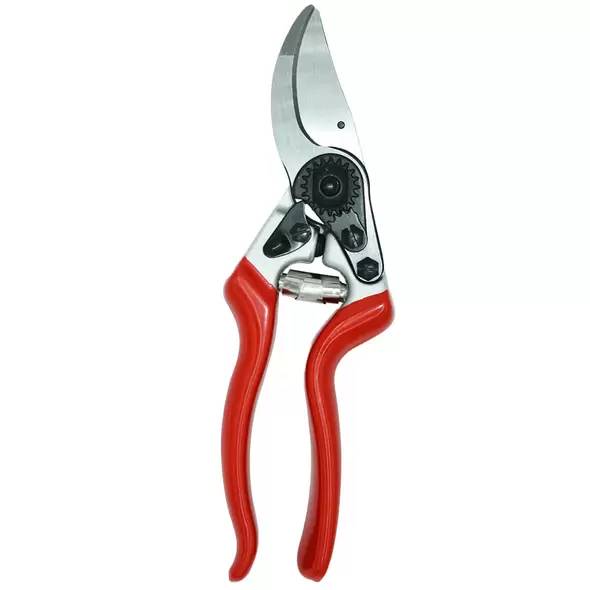 Professional Bypass Pruner