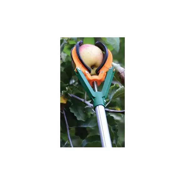 Long Reach Telescopic Fruit Picker - 6-Feet Extension