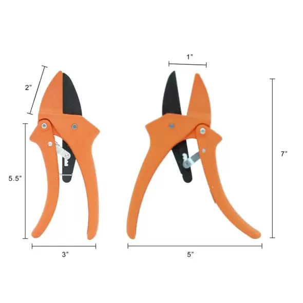 Ratchet Standard 7-Inch