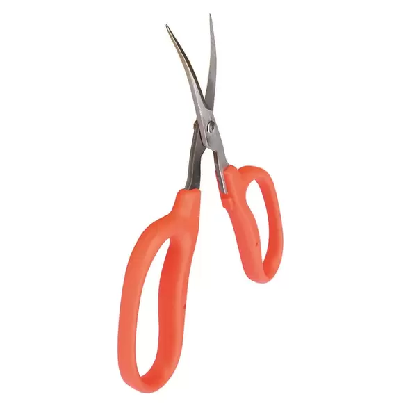 Curved MasaMasa Scissors