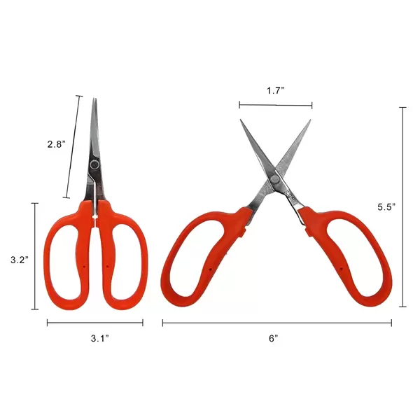 Curved MasaMasa Scissors