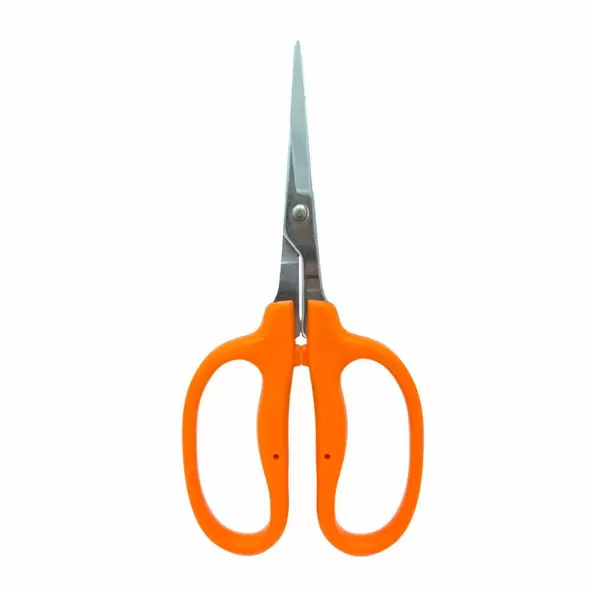 Straight Blade MasaMasa Scissors Orange
