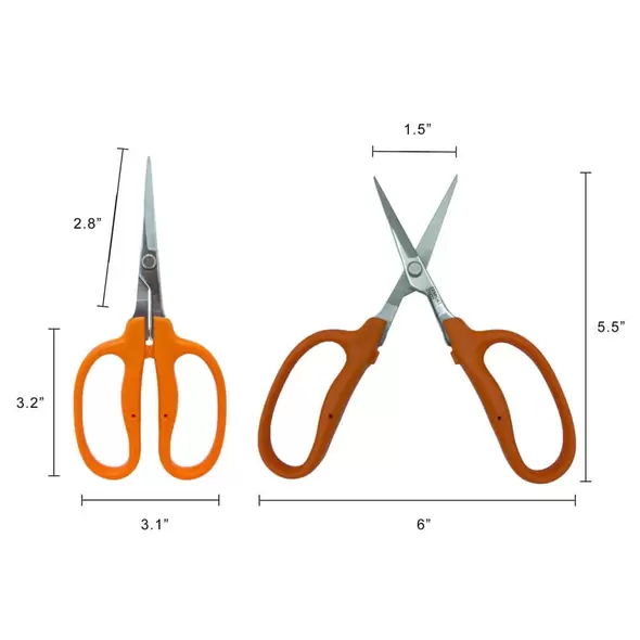 Straight Blade MasaMasa Scissors Orange
