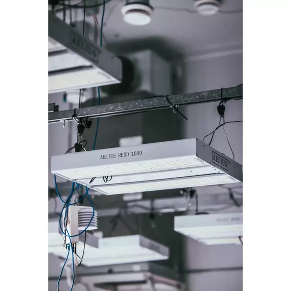Aelius REDD 3.0 Series - Aelius LED