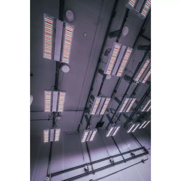 Aelius REDD 3.0 Series - Aelius LED