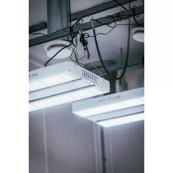 Aelius REDD 3.0 Series - Aelius LED