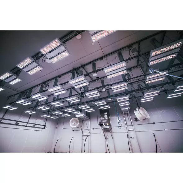 Aelius REDD 3.0 Series - Aelius LED