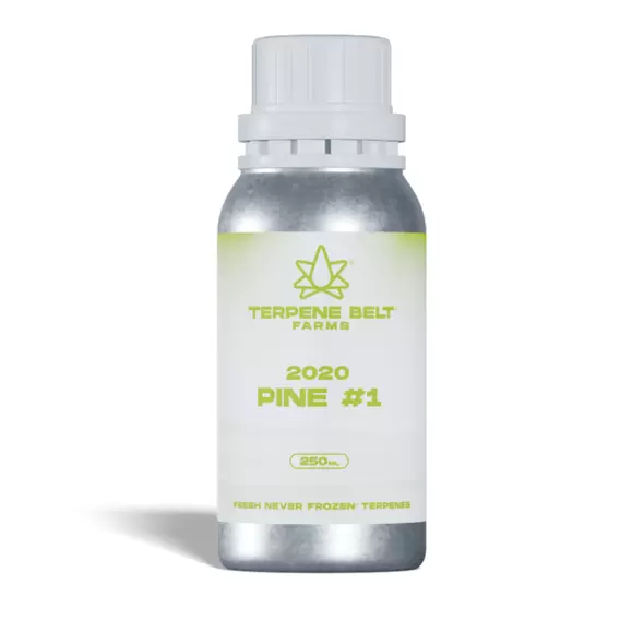 2020 Pine - 1