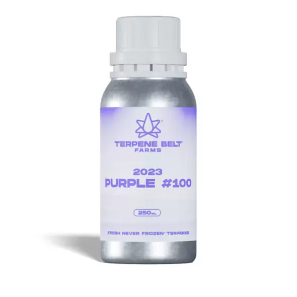 2023 Purple - 100