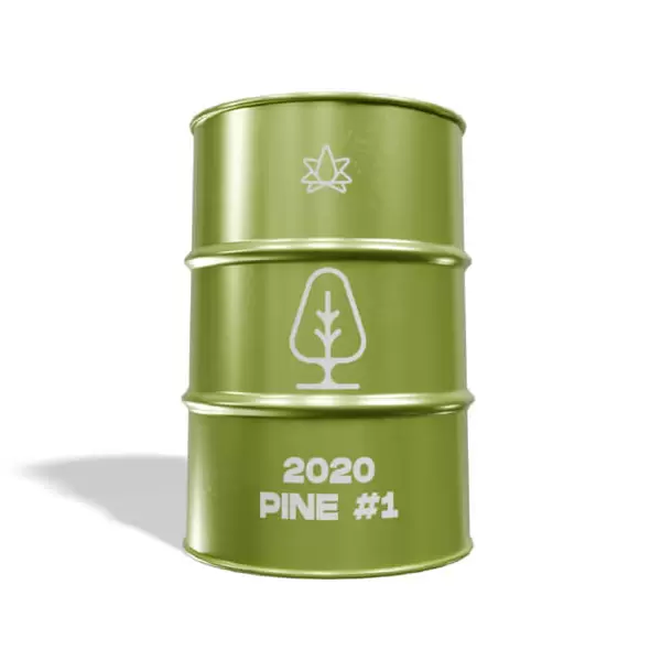 2020 Pine - 1