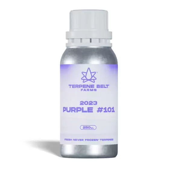 2023 Purple - 101