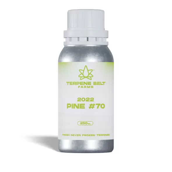 2022 Pine - 70
