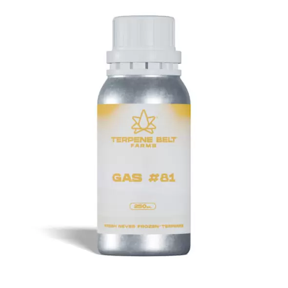 Gas - 81