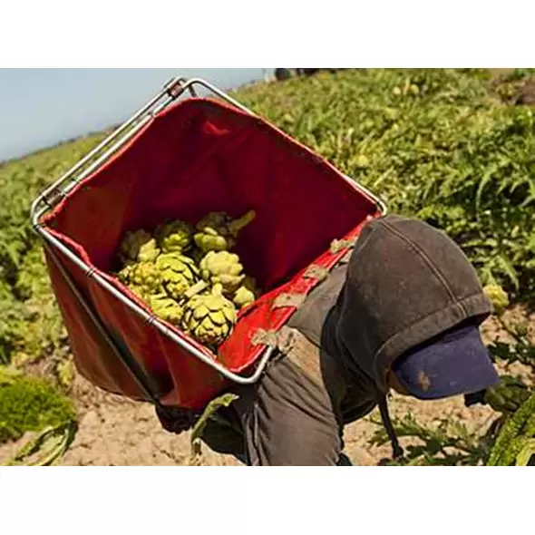 Artichoke Harvest Bag Backpack - Blue