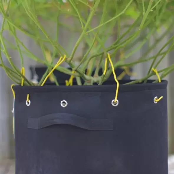 BudHuggers® - Yellow LST Garden Wire Tie
