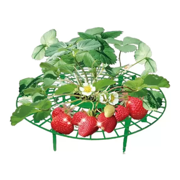 Garden Supports Fruit And Vegetable Gardening