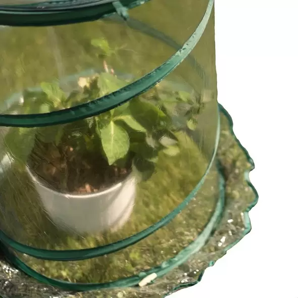 Portable Pop Up Greenhouse 26-Inches High