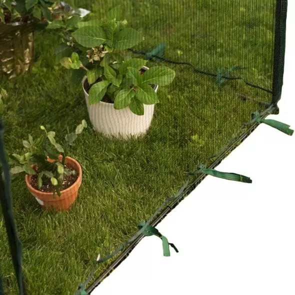 Fruit Cage Anti-Bird Netting