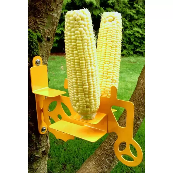 Corn Cob Squirrel and Bird Feeder