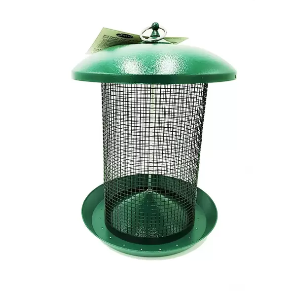 Hanging Bird Seed Screen Feeder