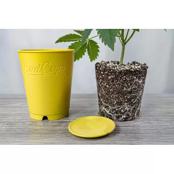 BudCups™ - Self-Draining, Easy-Transplanting Gardening Containers (Pack of 48)
