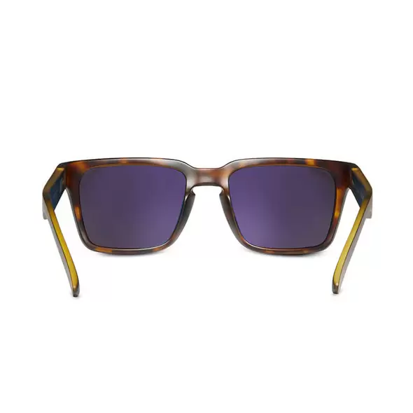 Evolution Sun Tortoise