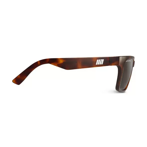 Evolution Sun Tortoise
