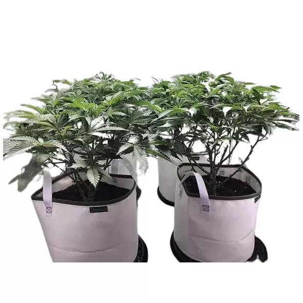 "Eclipse" Solar Shield Soil Protectors