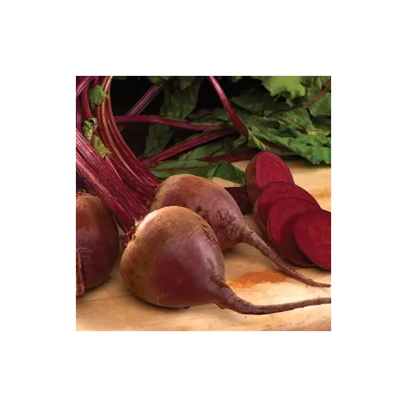 BEETS, LUTZ 1/2 LB EACH RED STEM