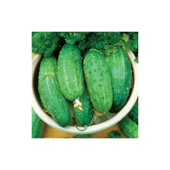 CUCUMBER, SMR58 1/2 OZ EACH